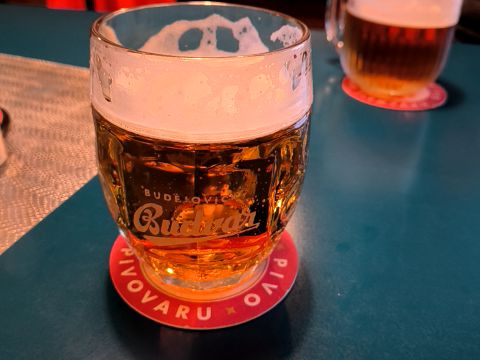 Šenkýrna Obzor