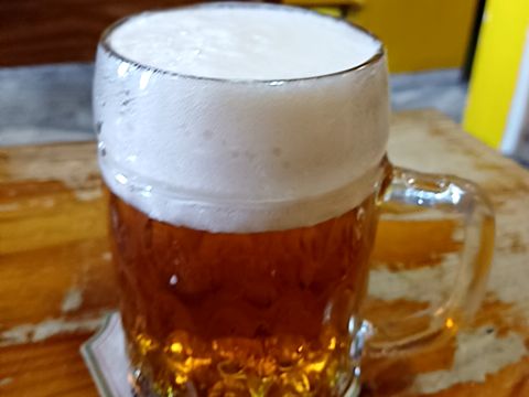 Pivnice Sol